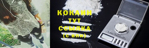 spice Заводоуковск