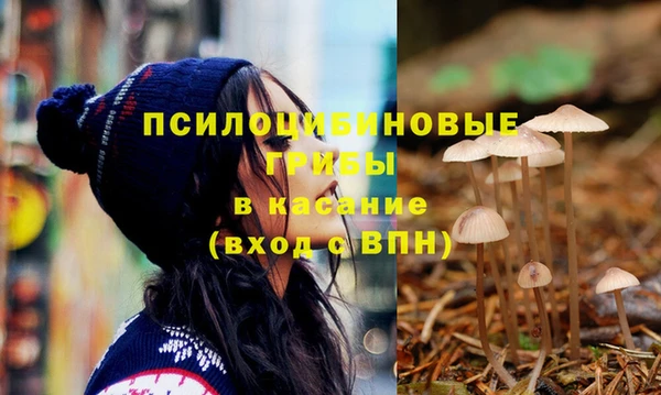 spice Заводоуковск